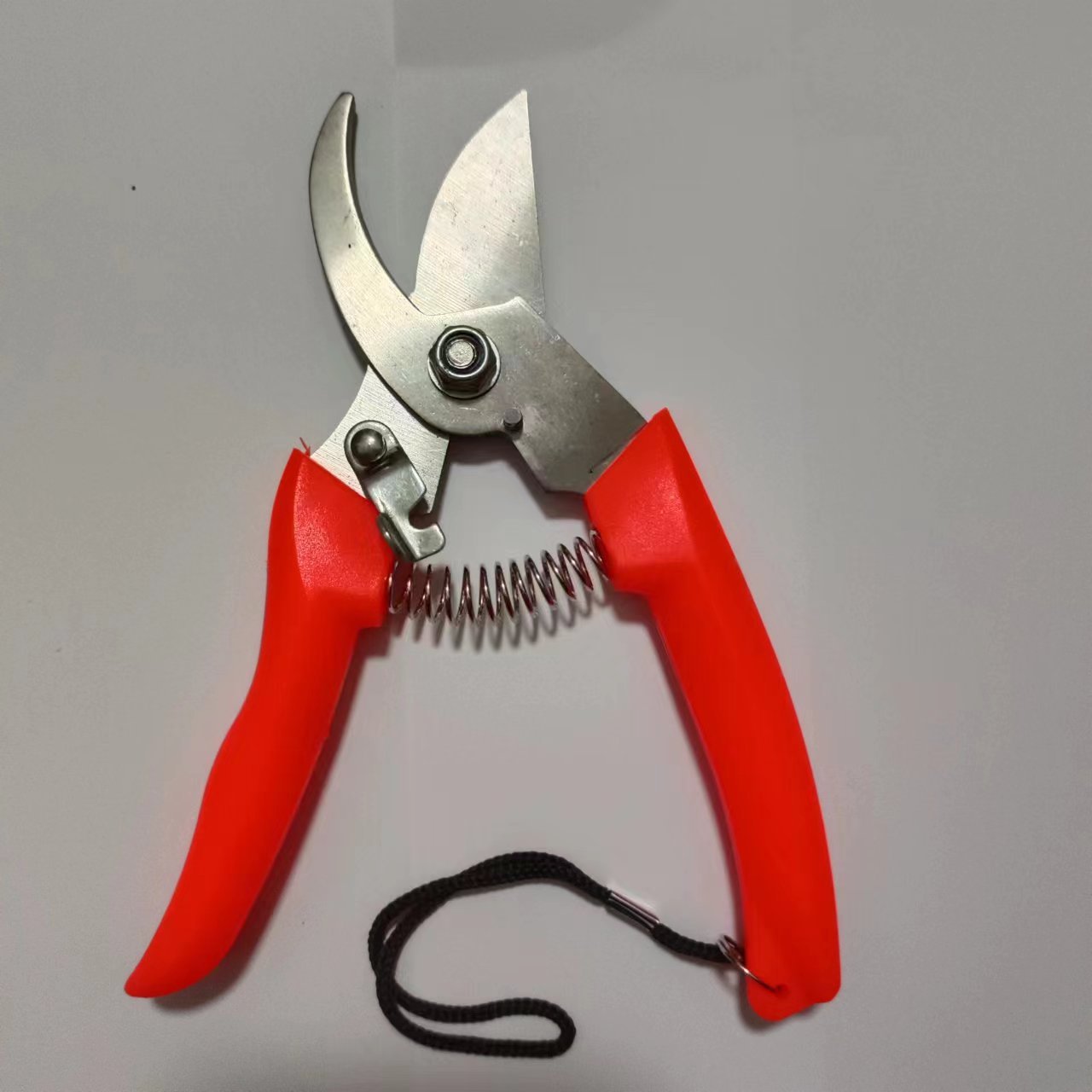 微信图片_20240423095144