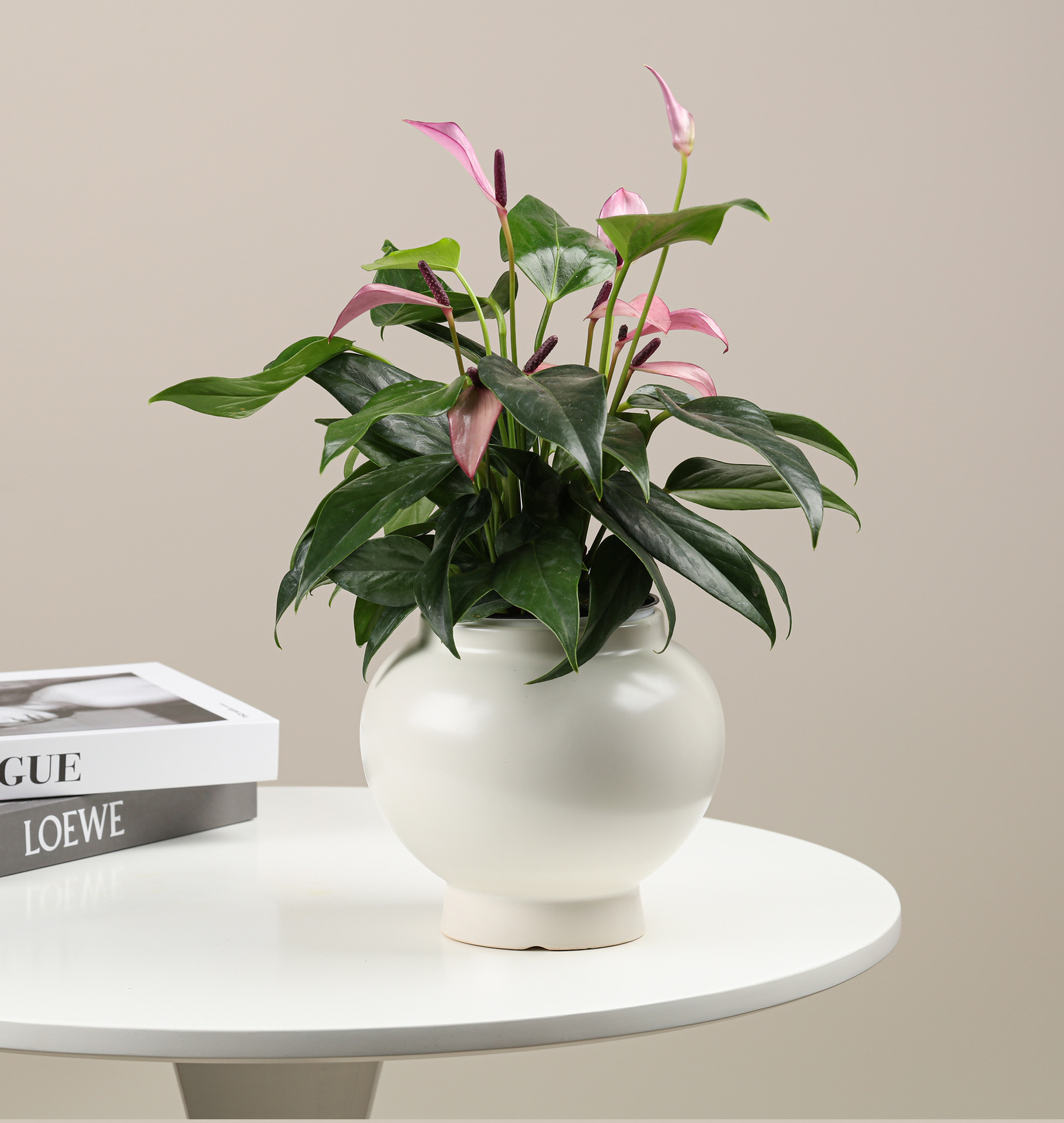 花盆8大图 (11).jpg