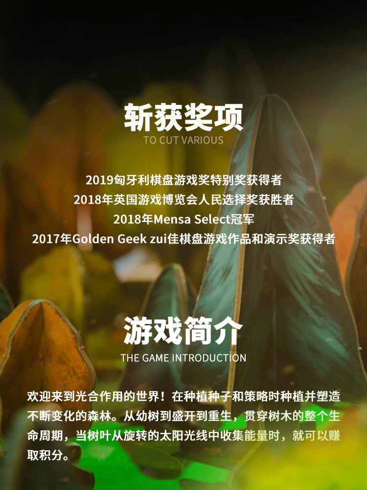 刻馆光合作用创意桌游新颖玩法朋友娱乐游戏化教具