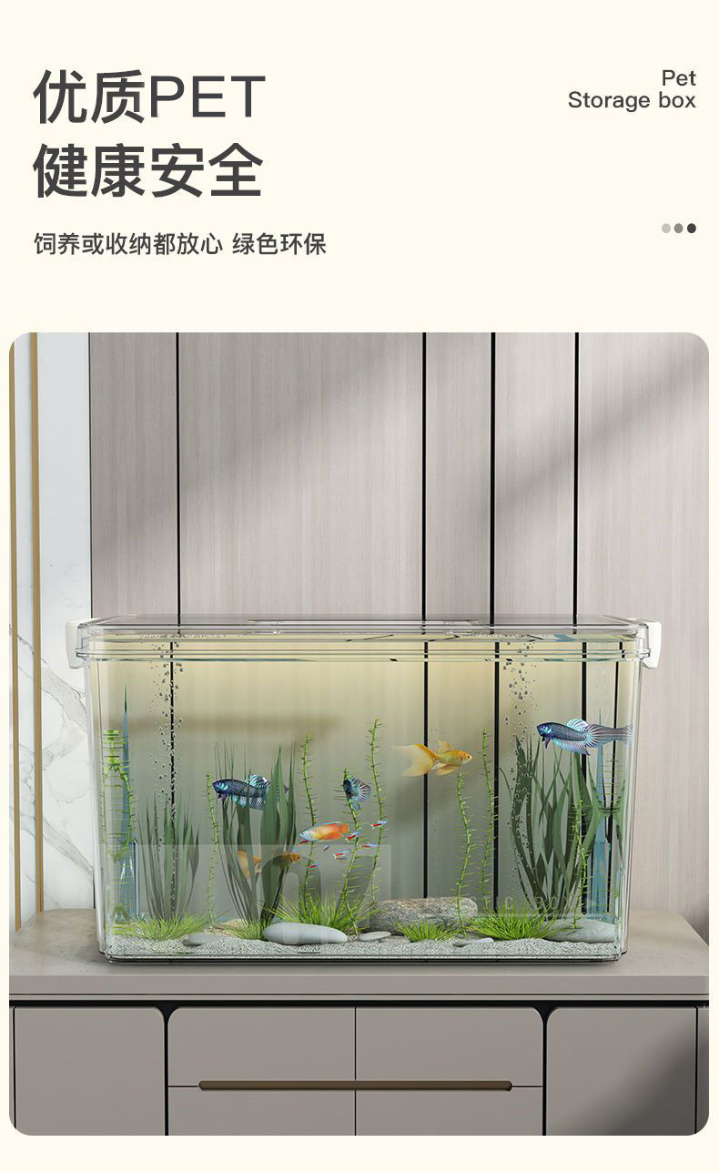 6030f17f-c69e-41fd-b194-b47ef30469fe.jpe