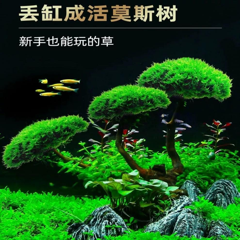 5827c904-6a0b-4754-99ab-5b1201d6b6ff.jpe