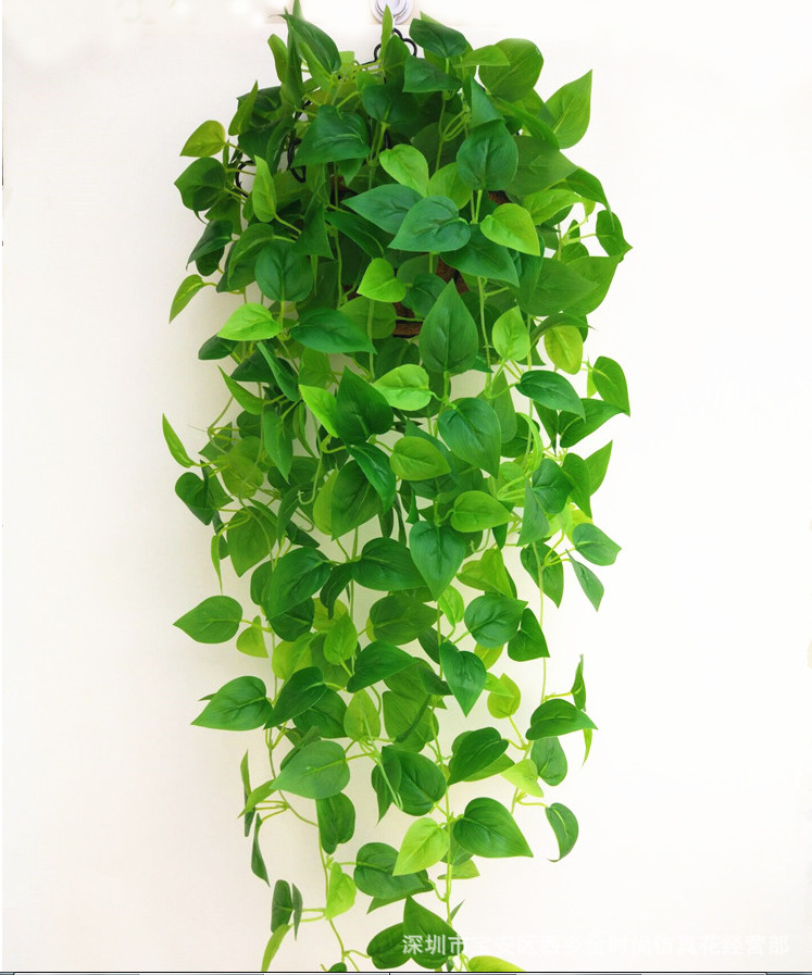 微信图片_20210603161459