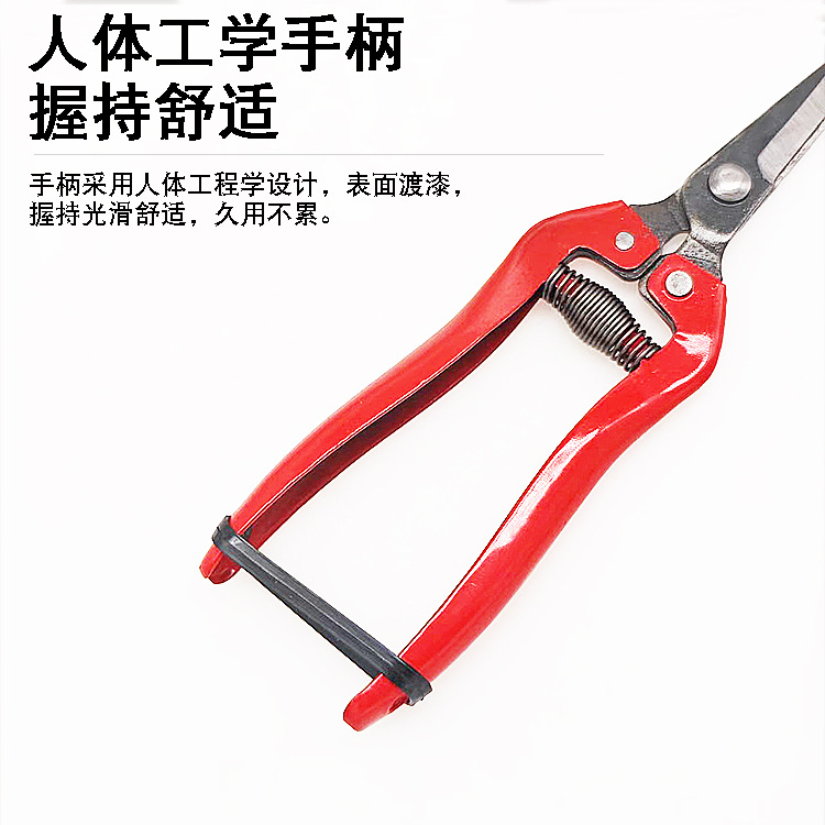 详情3.jpg