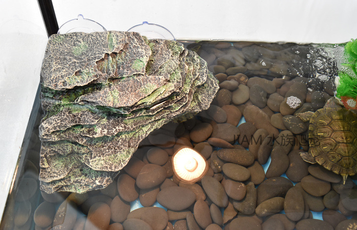 O1CN01KQzc3R2LeR8MMb4Ys_!!2206