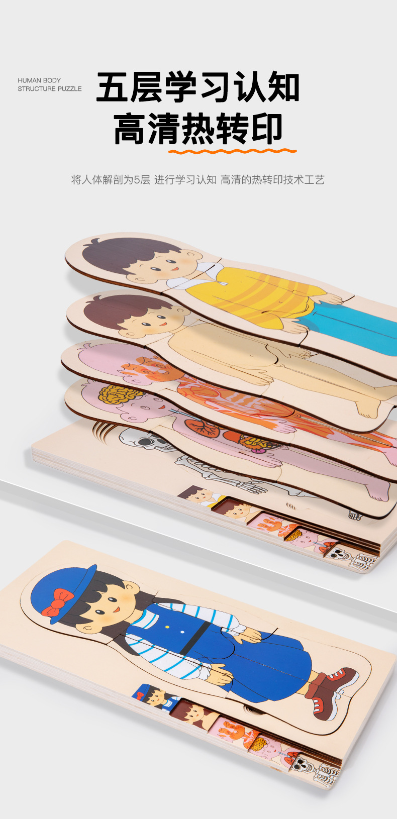 人体结构拼图_02.jpg?x-oss-process=image/format,png