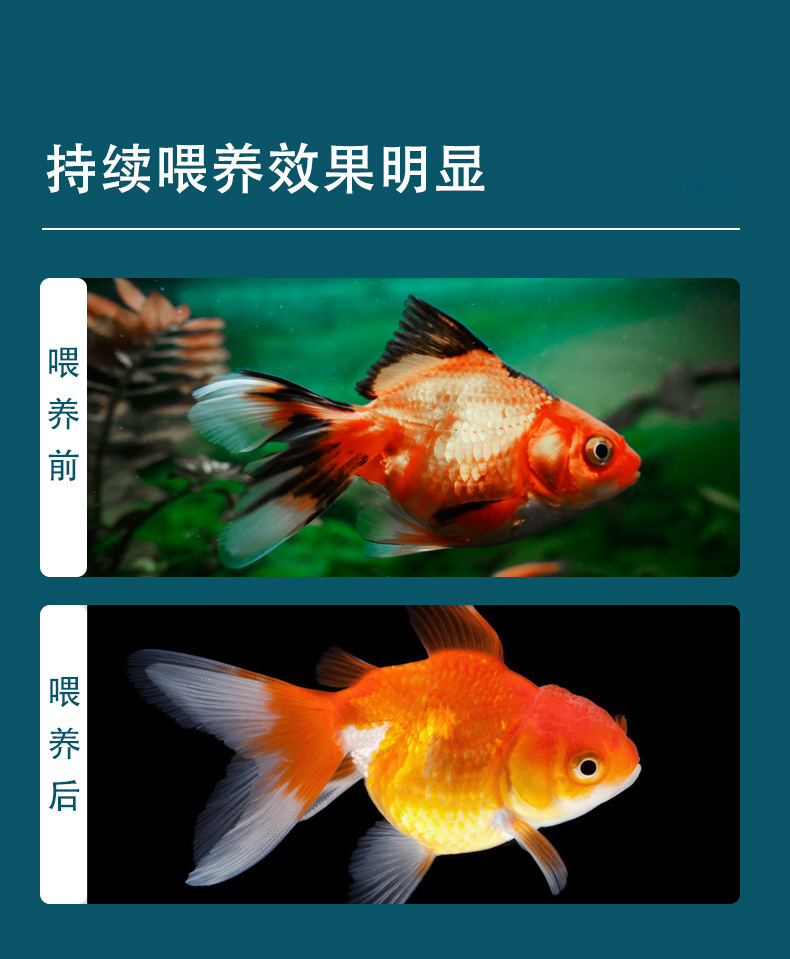 /O1CN01f8APom1Y18TLbXMQD_!!2219799282998-0-cib.jpg