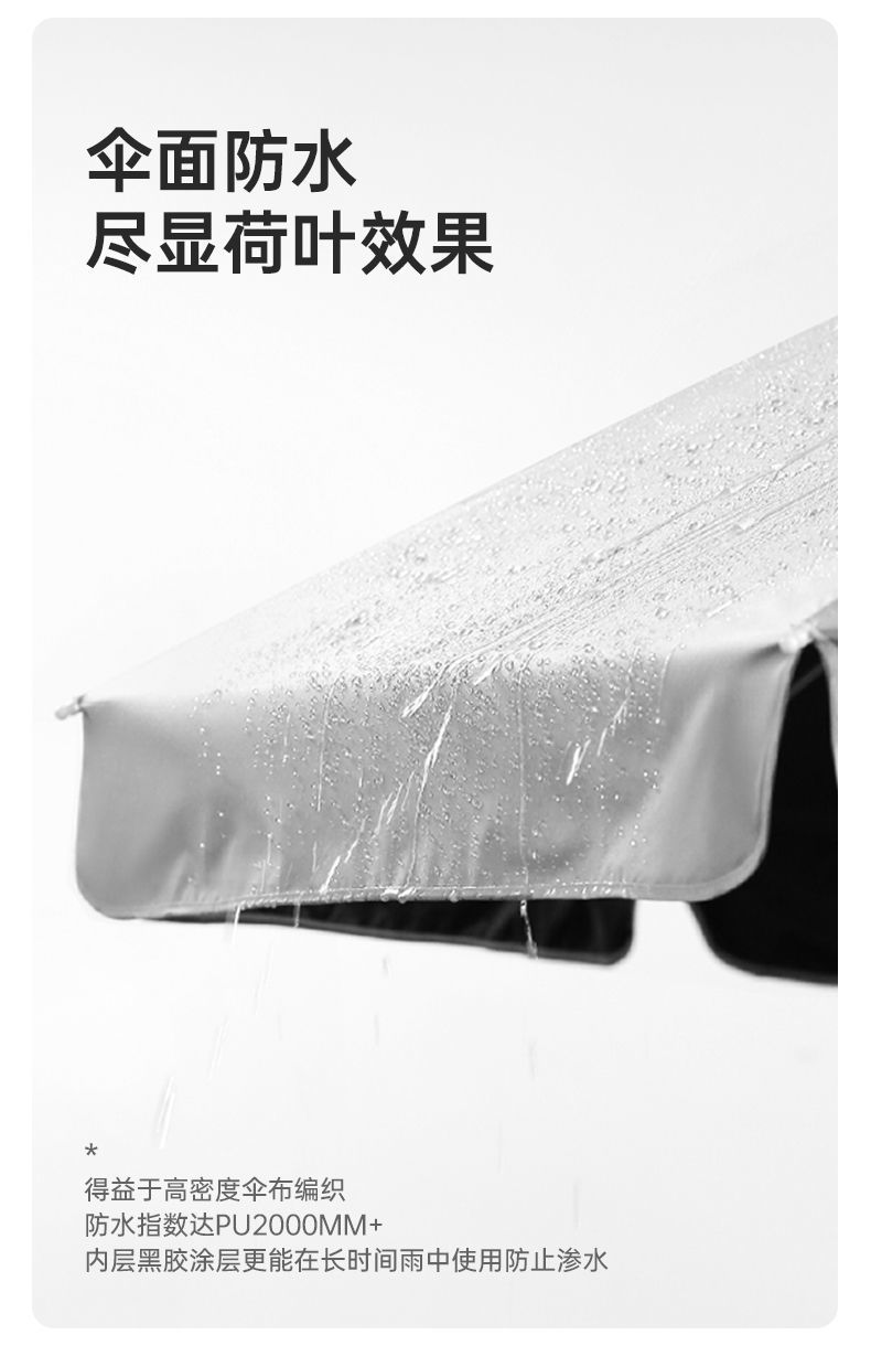 8422a9f5-170d-4107-8334-892a0eca86f1.jpe