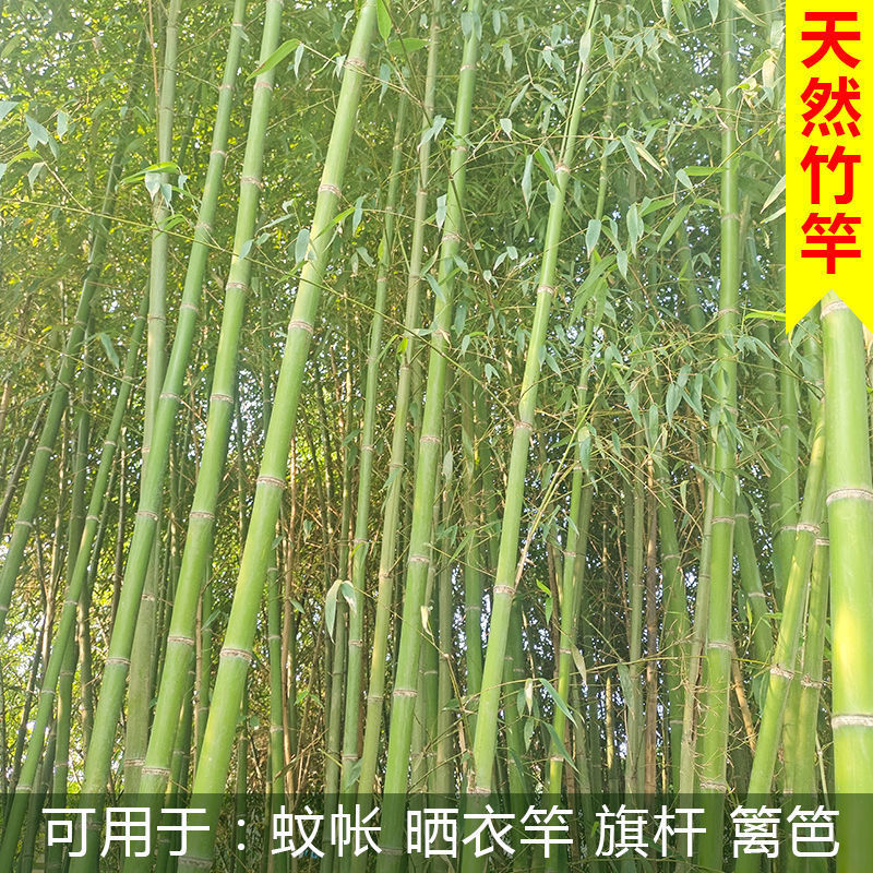 4beab9f8-94bc-4d3f-8b05-9157851e9de8.jpe