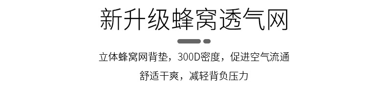 3602详情页改_04.jpg