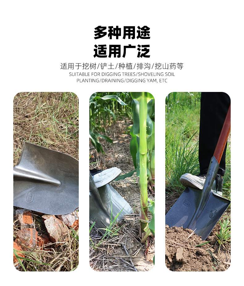 2 拷贝.jpg