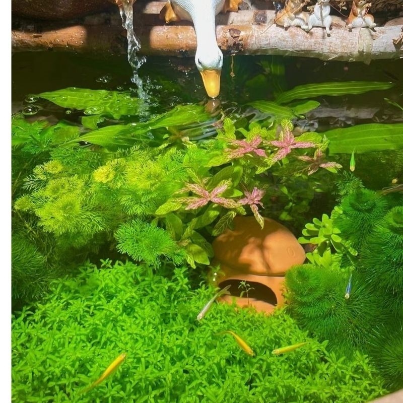 ca86d1c0-6b06-4a00-9582-213776af126a.jpe