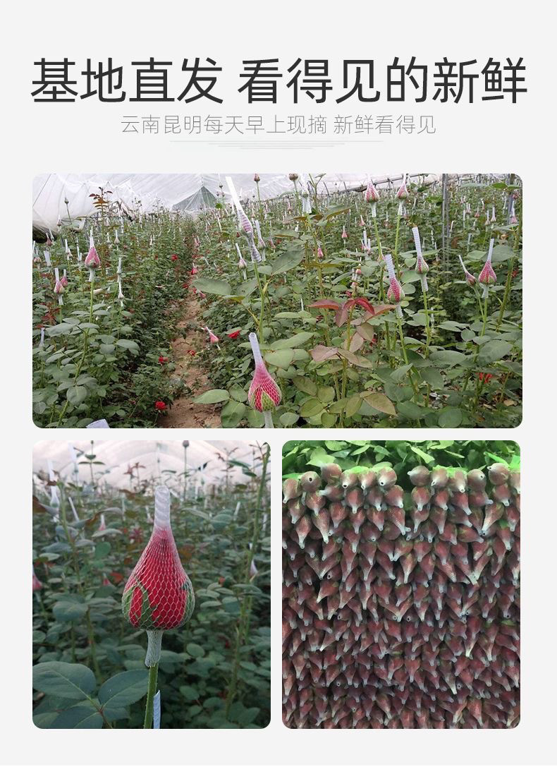 68d91590-b891-4fa5-b2c7-d8ee0fbcedb5.jpe