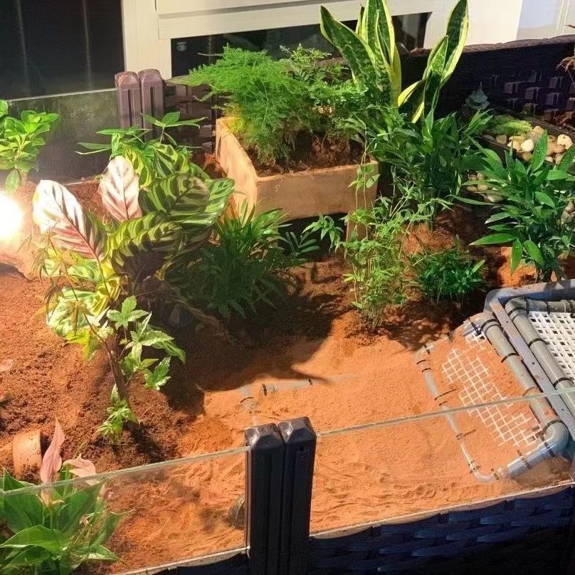 1ad0a034-1910-4732-924c-e1f1f11d033a.jpe