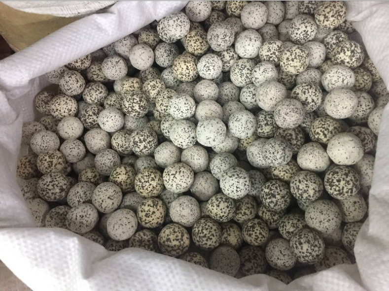 微信图片_20210507145622