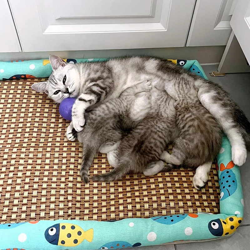 89f4fe0a-bbdc-467f-a4d8-86e3035e2562.jpe