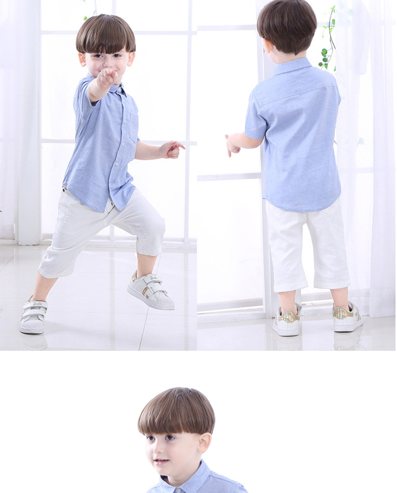 59e163ed4071a-副本_13