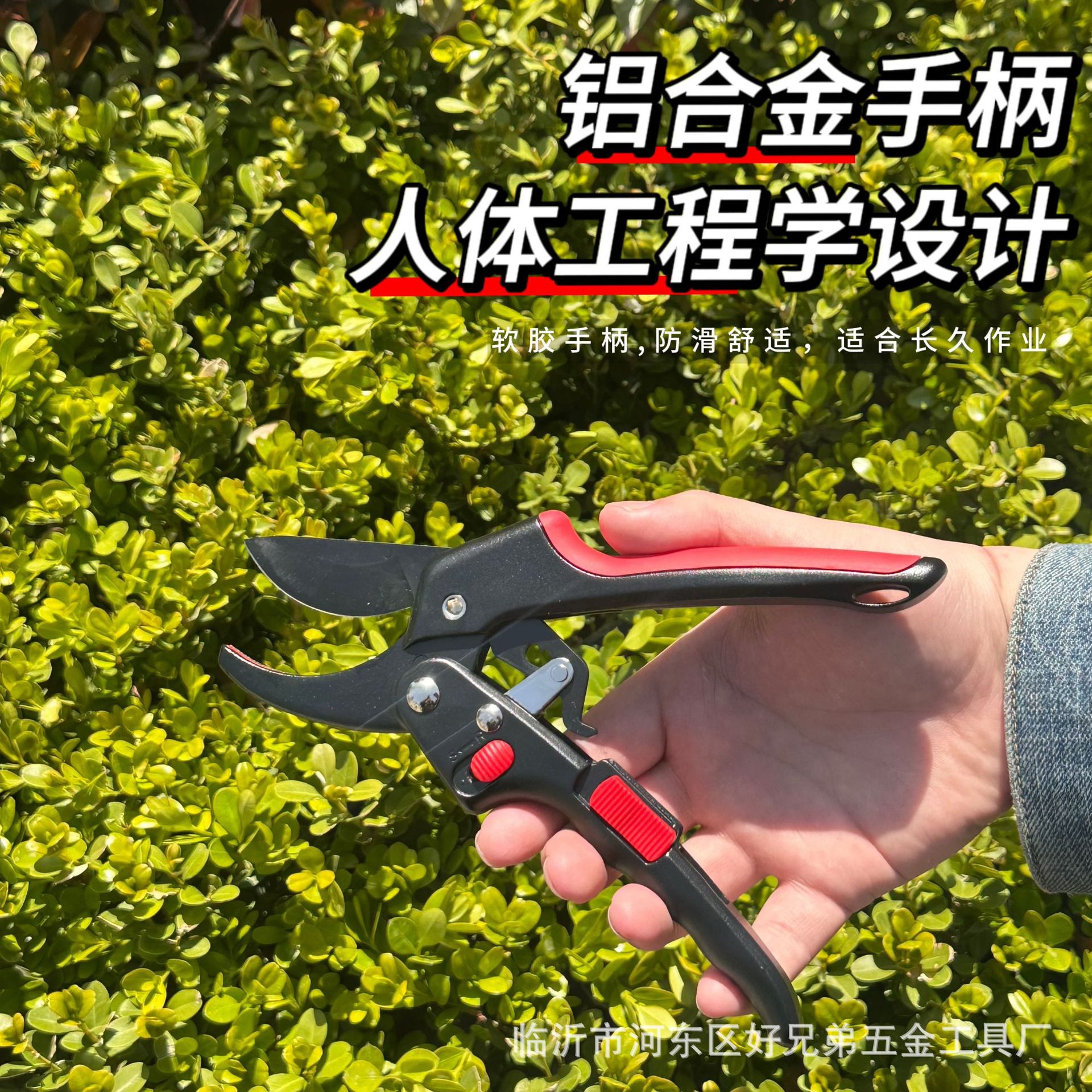 微信图片_20250412170814.jpg