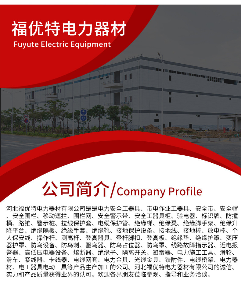 O1CN01171IHl1ZXwQaCtQ53_!!2219