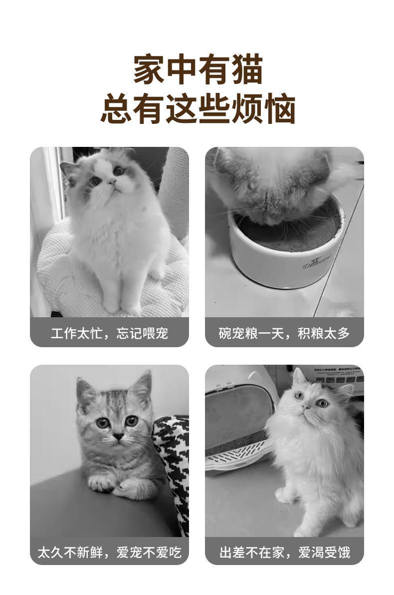 51b5dc3e-3523-4d7d-b3cb-261a12c8c655.jpe