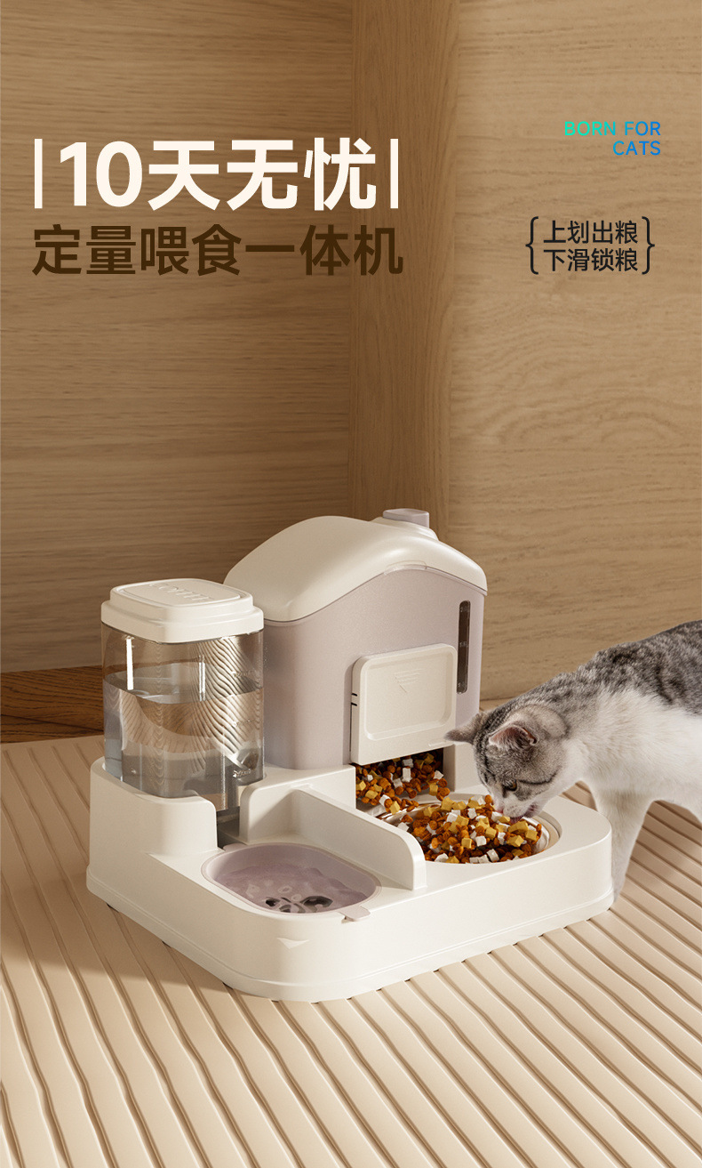 0b5f95b7-8661-4989-a8ca-da9419b9a1e6.jpe