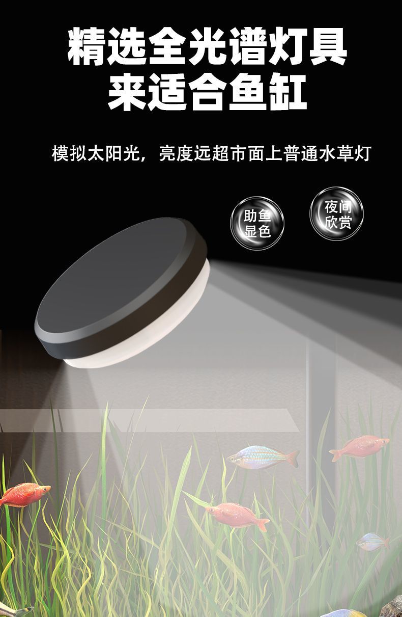 4398e38f-93a3-411c-a042-3c8b3a1137e7.jpe