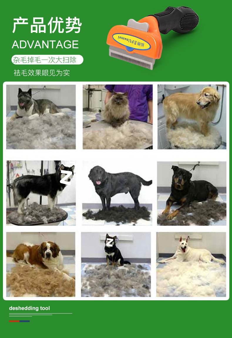 b1779f21-6688-4b7c-9ec6-8c3675d44e8a.jpe