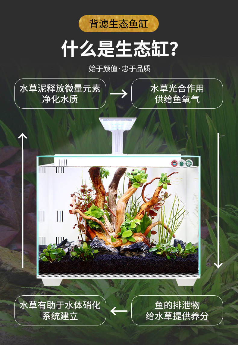 3f4f2837-ebce-44d3-987d-27c890722522.jpe