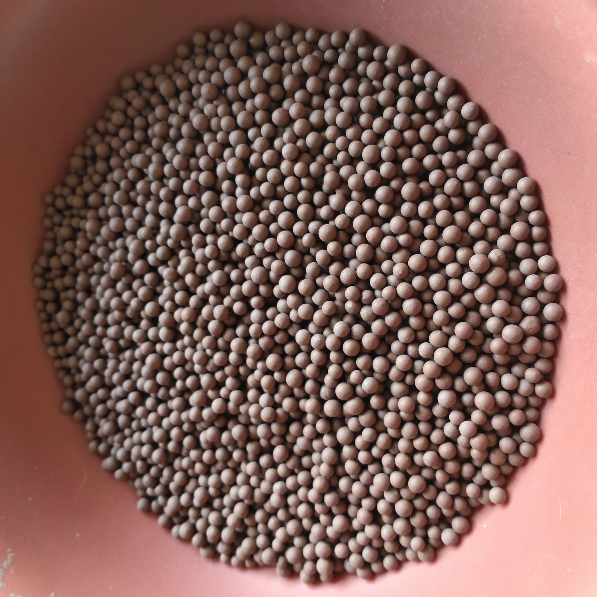 微信图片_20241228100438