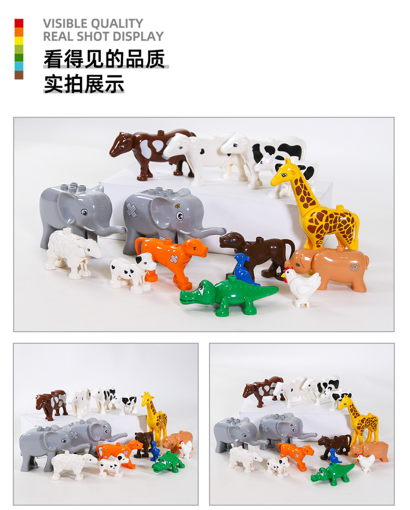 动物实拍_01.jpg