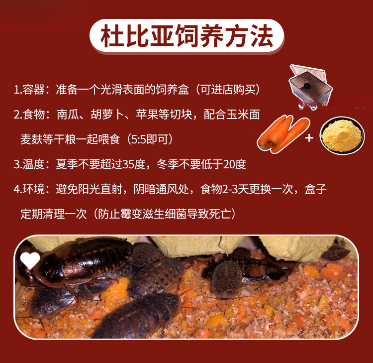/O1CN01fPtd4N1Y18TSwsYF0_!!2219799282998-0-cib.jpg