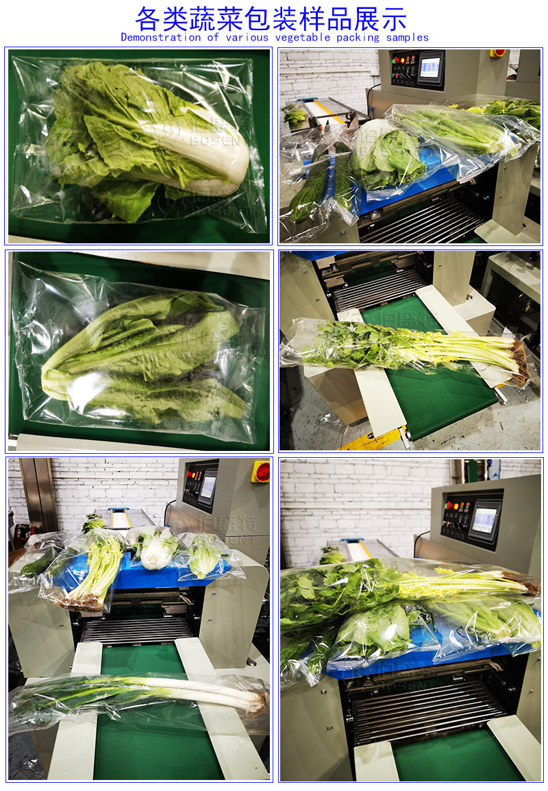 蔬菜包装样品展示youshuiying