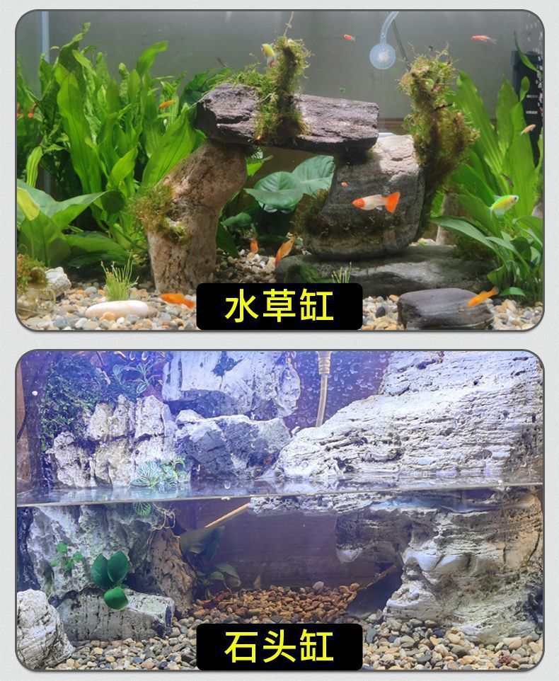 2f2eb9e3-7d60-438d-aa07-9099c396d4cc.jpe