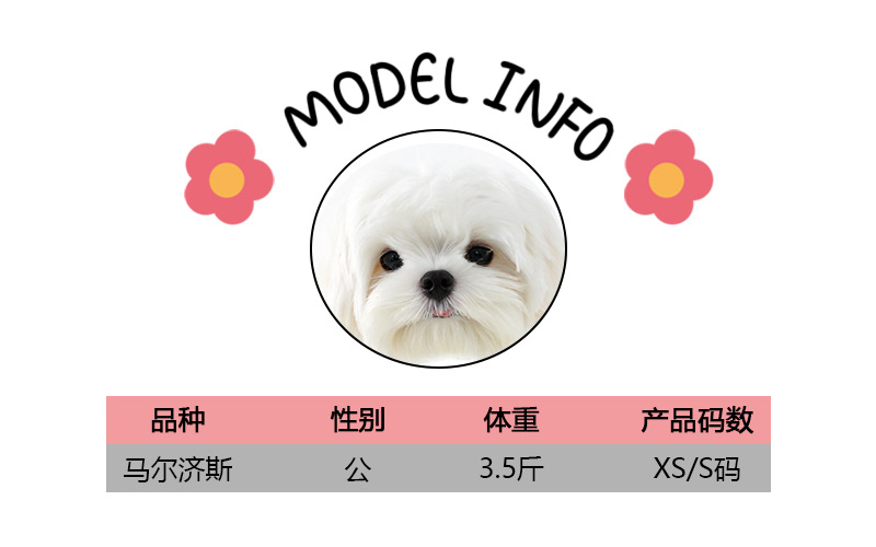 modelINFO（uu）
