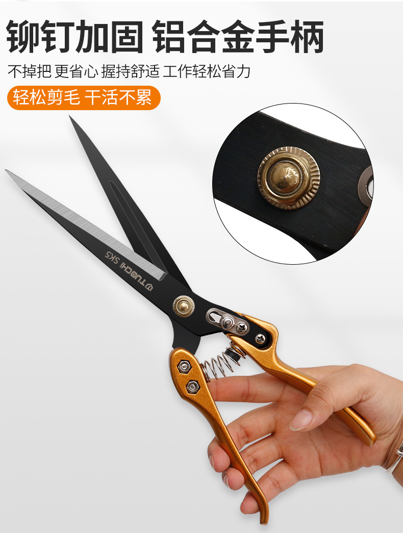 790详情_04.jpg