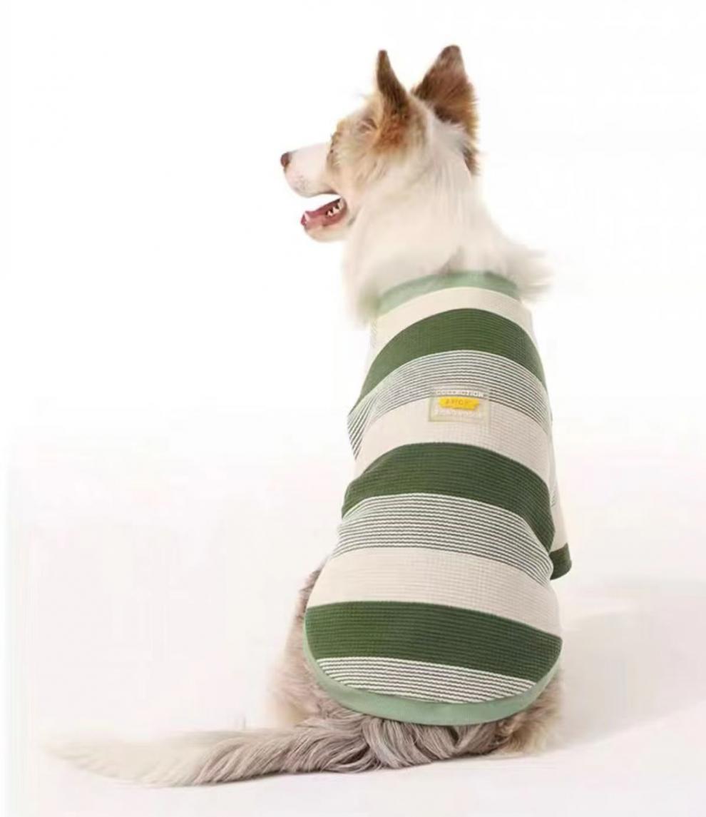 1ff62db1-a113-4a0a-86a8-c985b847b07a.jpe