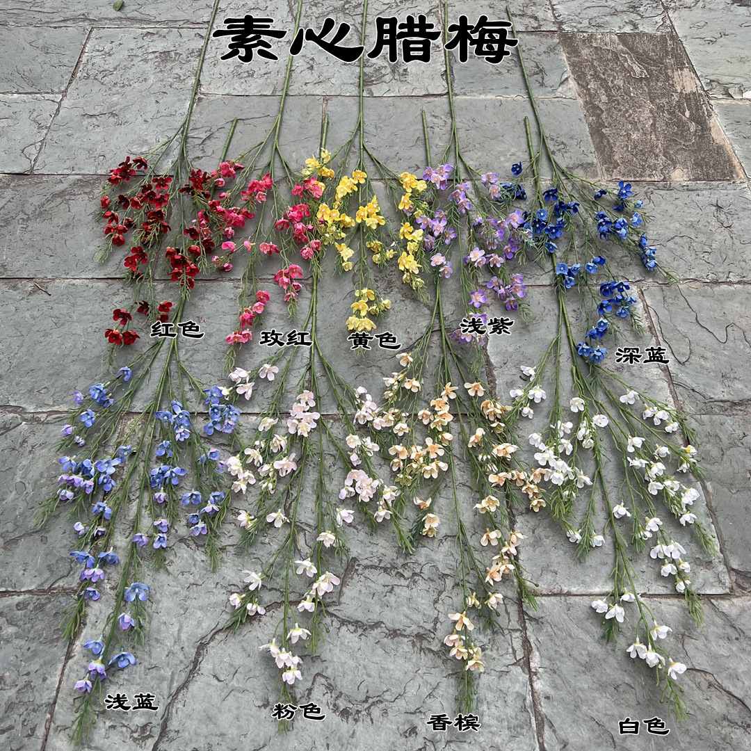 微信图片_20230318103724