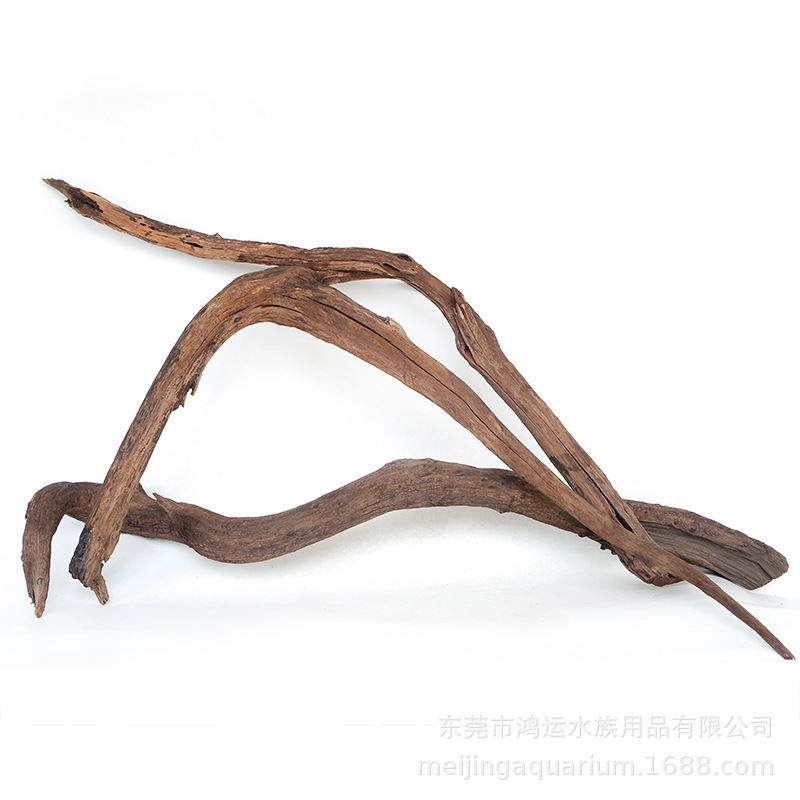 沉木弯枝条