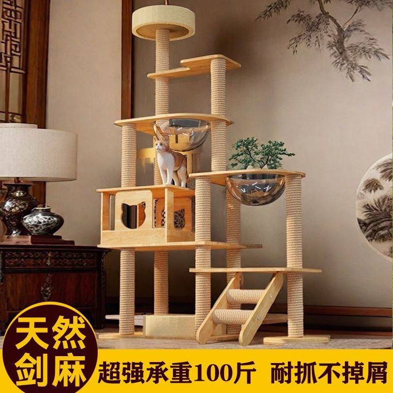 8593df0a-ae1b-4dd8-9319-50b06b6475ab.jpe