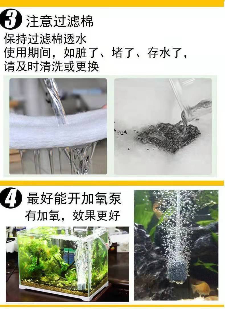 2b613efd-cc41-4c69-8a64-6850b8bf96ae.jpe