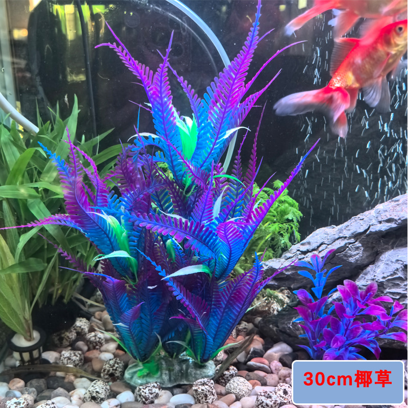 微信图片_2025-08-10_102732_302