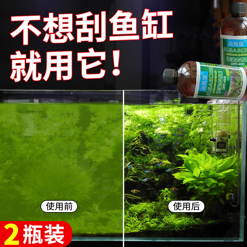 除藻2