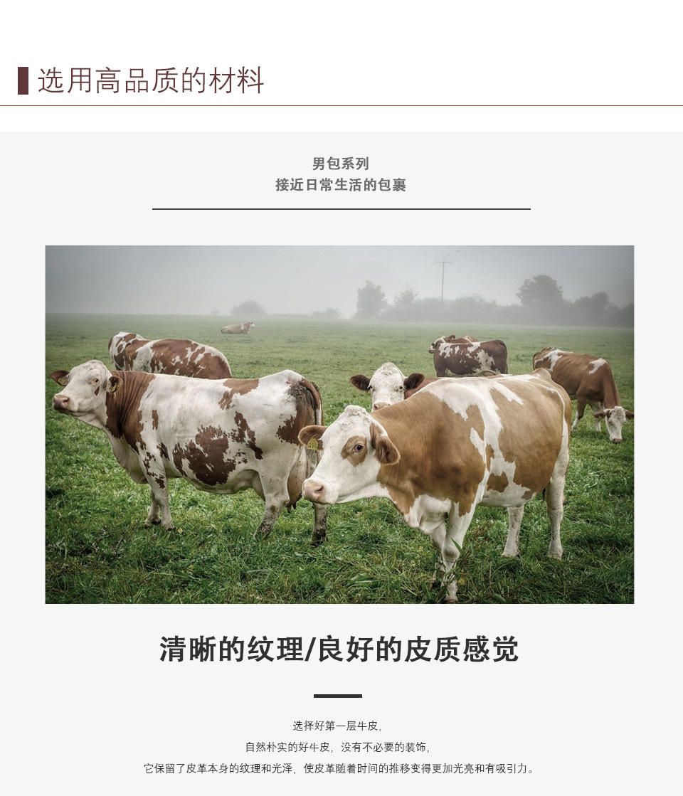 8711中文_08.jpg