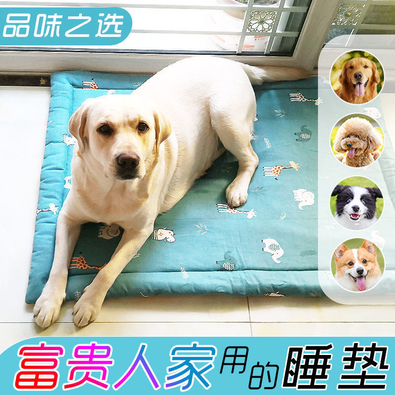 b2bc228a-1576-4b05-9818-746017e999c3.jpe