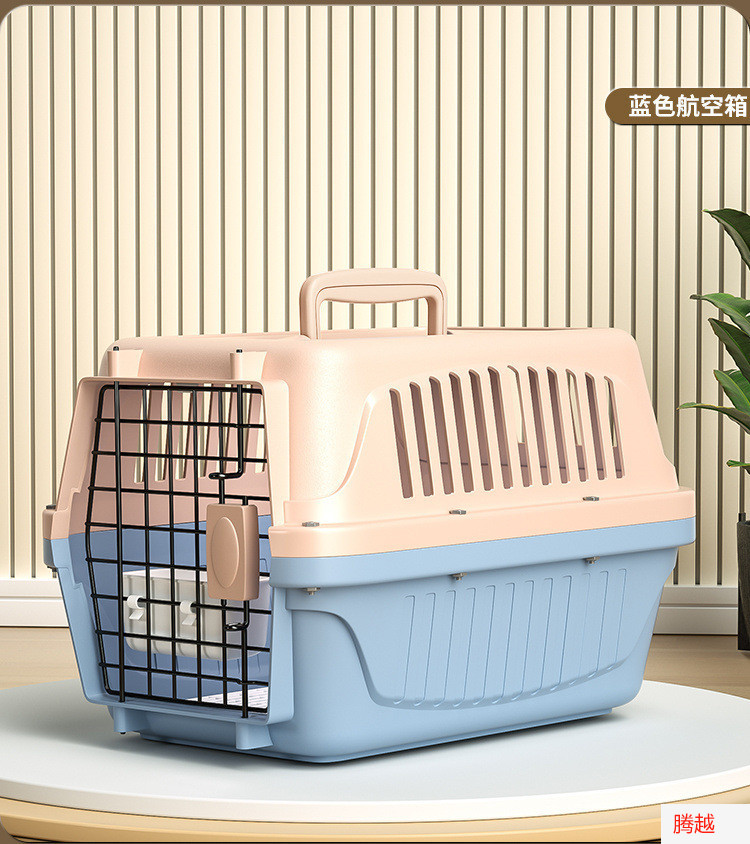 ee039bce-f19c-4b98-a747-3b15ad95cebc.jpe