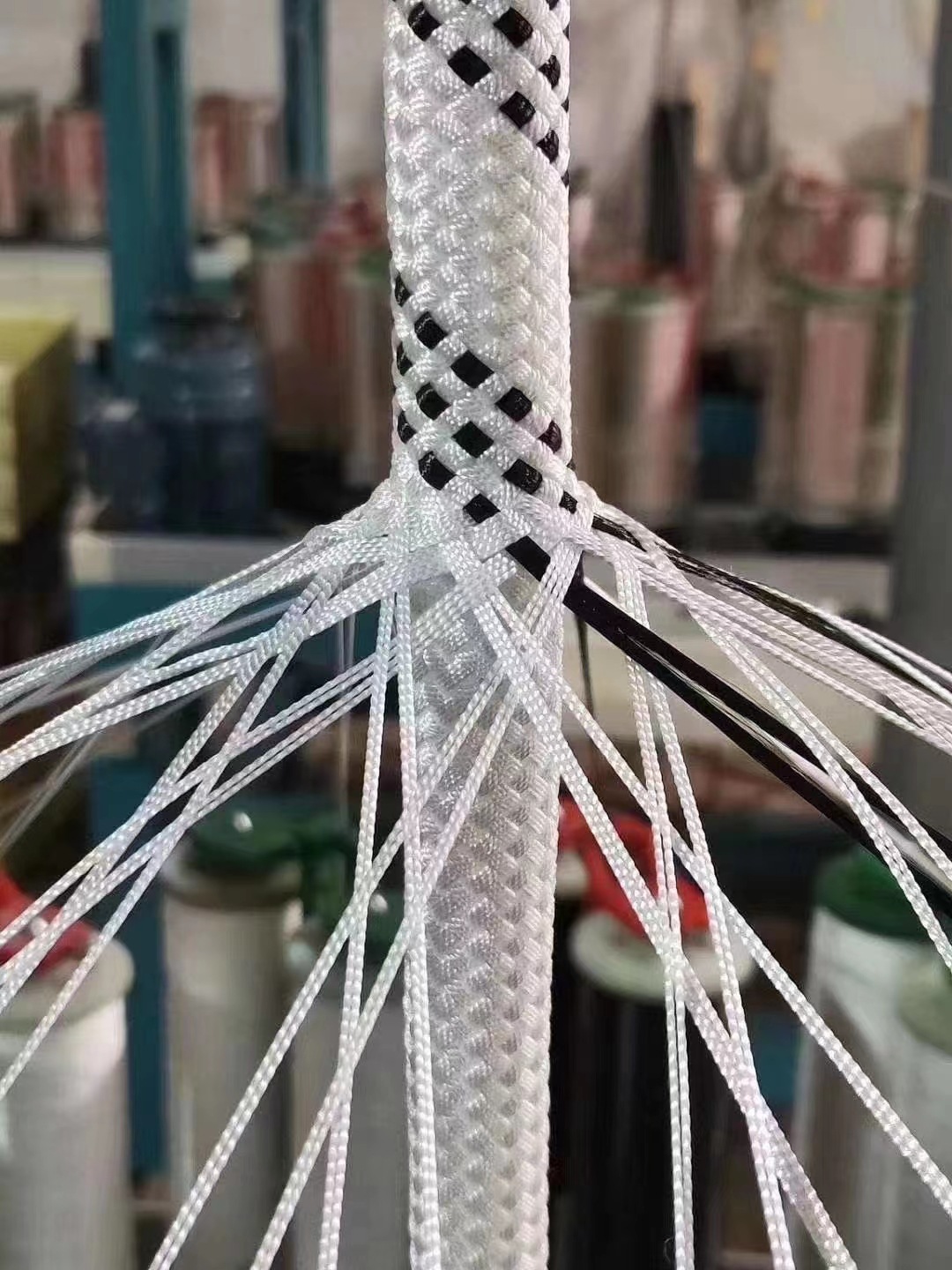 临时mmexport1660543325407