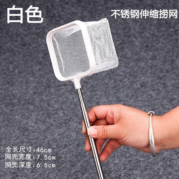 c54136e6-cad6-48c9-9381-e7fb6d45f7a3.jpe