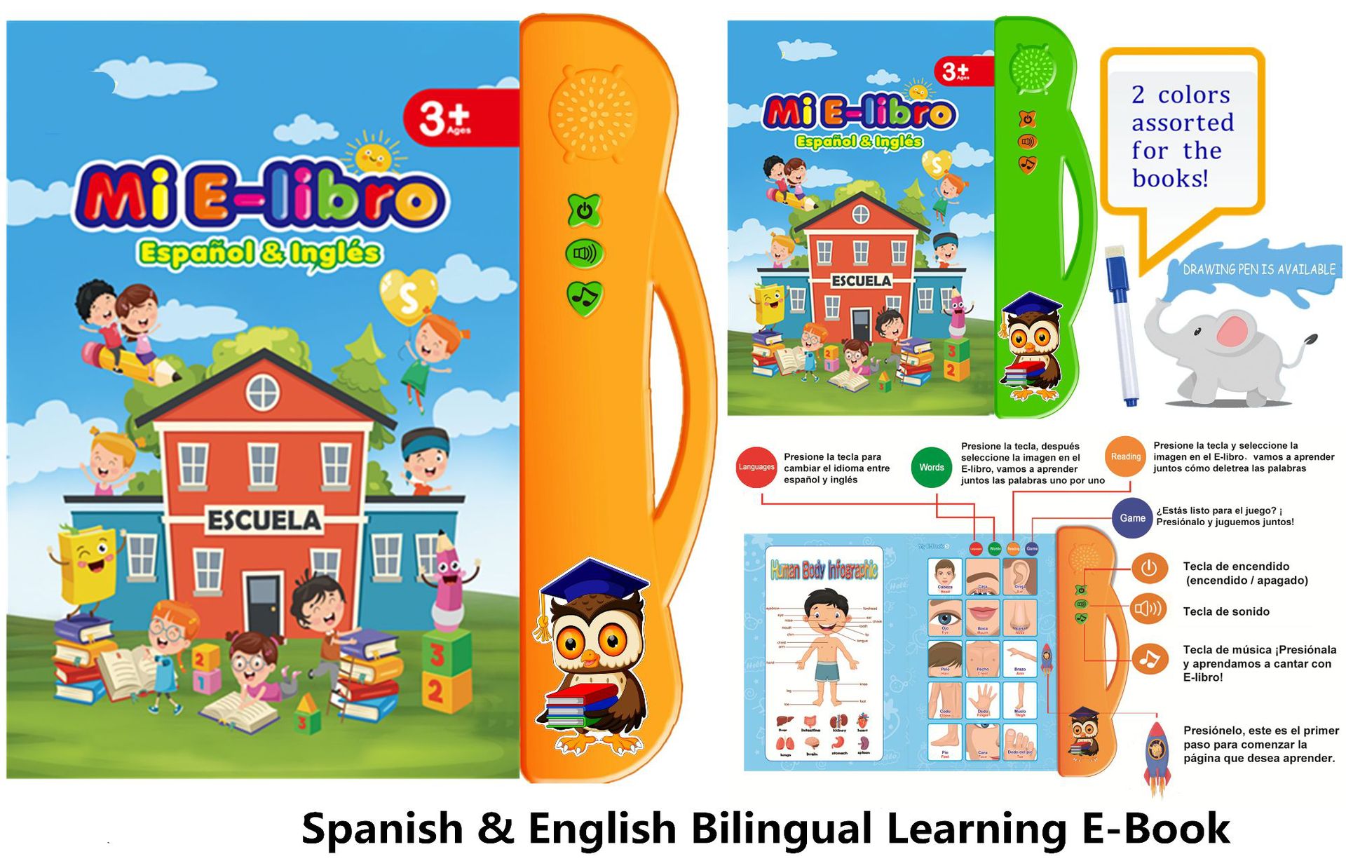 English &Spanish.jpg