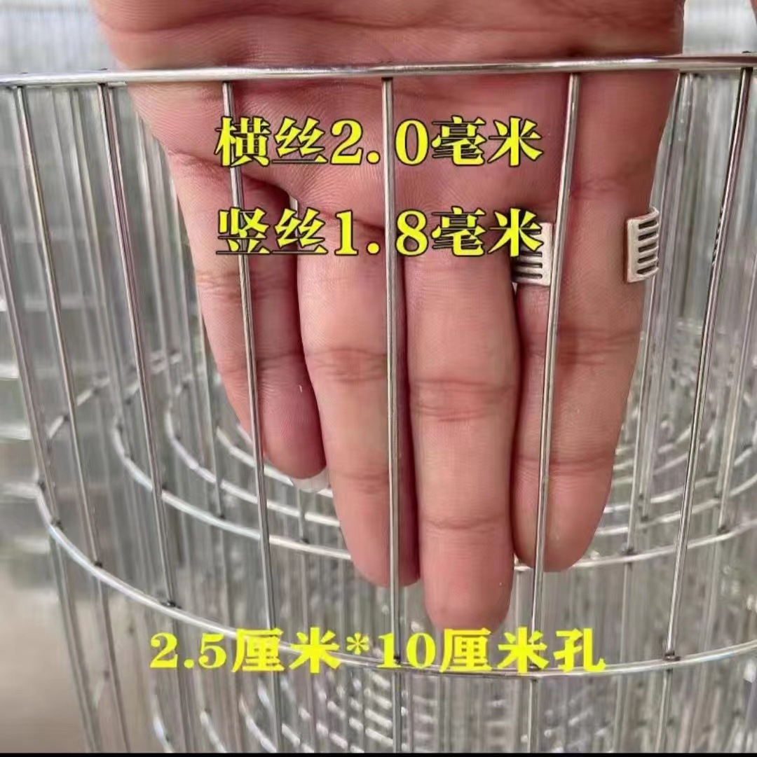 O1CN01fYjib42El86Ubgpuu_!!2219837118784-