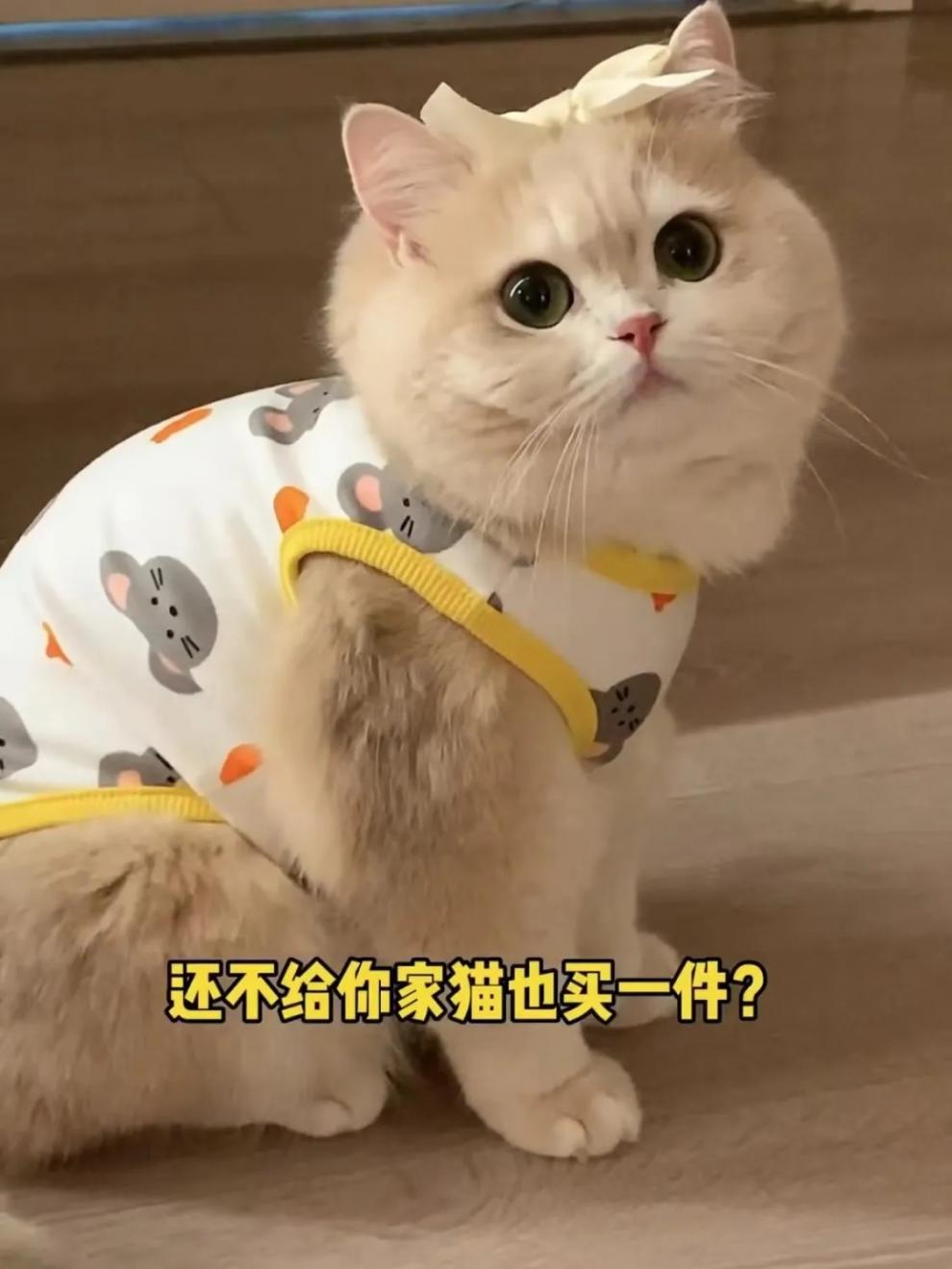 064b2565-083f-4f6f-a582-6717d9f8b35d.jpe