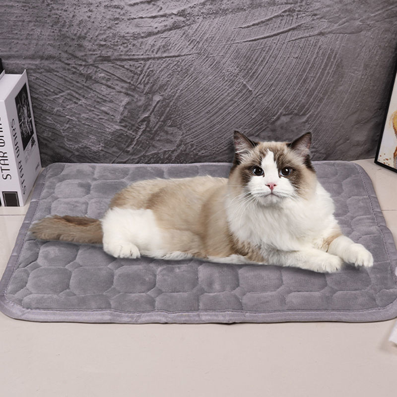 8a61aa09-8bb1-448e-8deb-88eeb9113f45.jpe